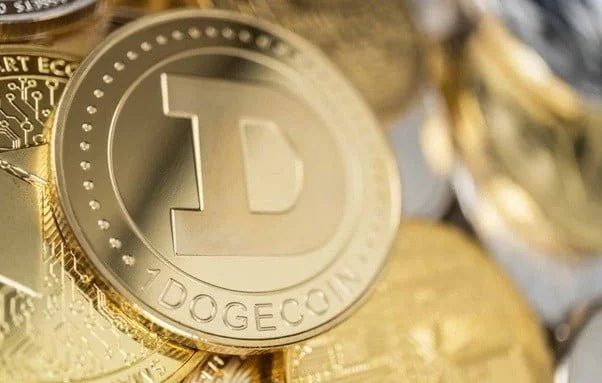 Dogecoin to be left out of bag again as Analyst Predict all time high.