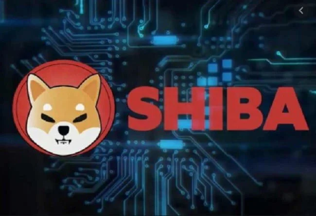 A Prominent Ethereum Whale Scoops Up 110 billion Shiba Inu tokens worth $3.62 million