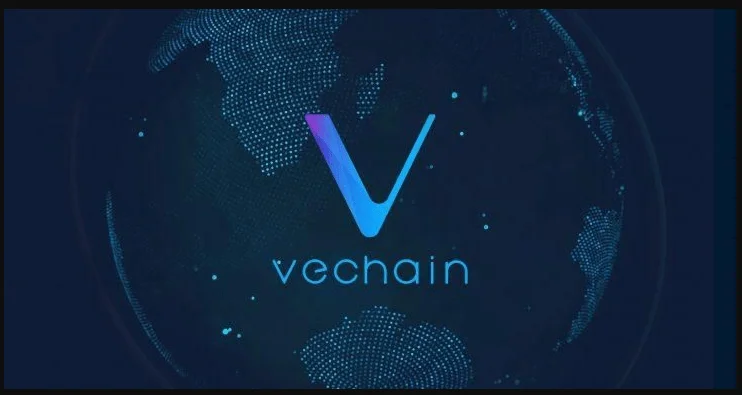 Is VeChain a smart long-term investment?