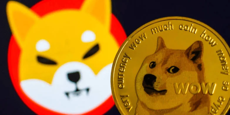 Dogecoin and Shiba Inu topped the most-searched list in the United States in November