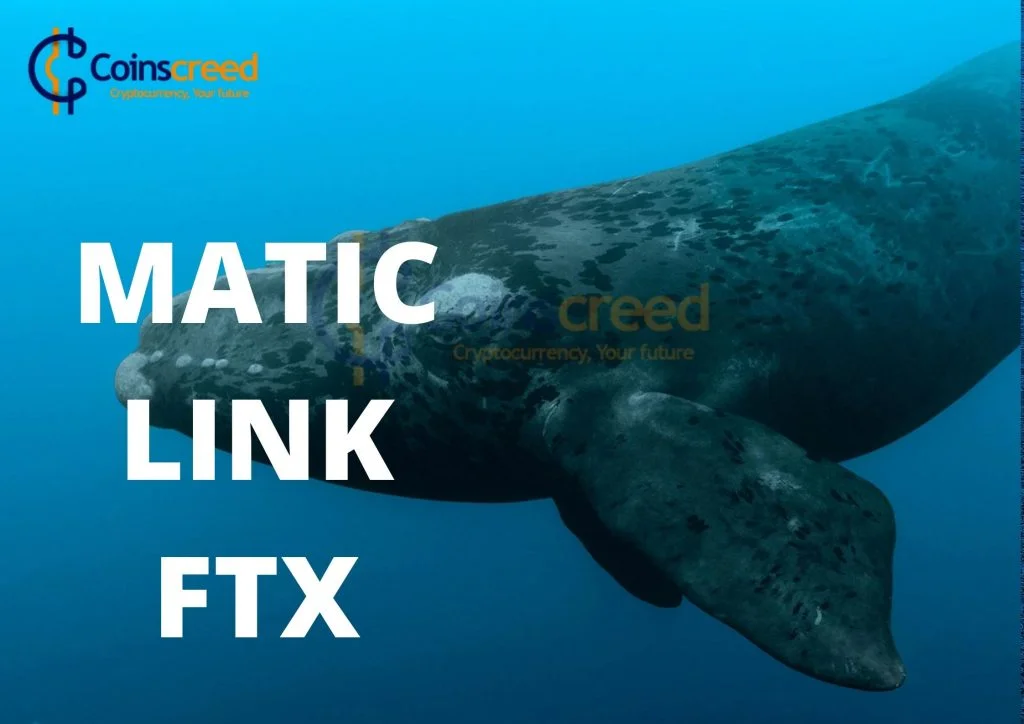 ETH Whales Scoops Up Large Amounts of LINK, MATIC, and FTX Amid BTC Decline