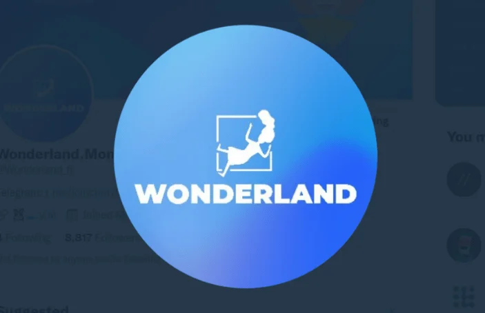 Wonderland community votes out QuadrigaCX co-founder Sifu and also considers winding down