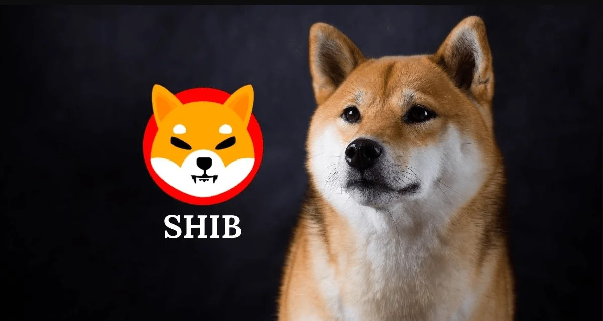 Breaking: Whales have just bought 36.8B Shiba Inu