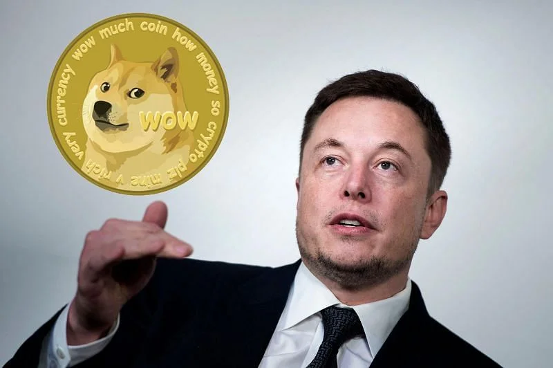 Elon Musk Shares Video On Dogecoin That Explains It All