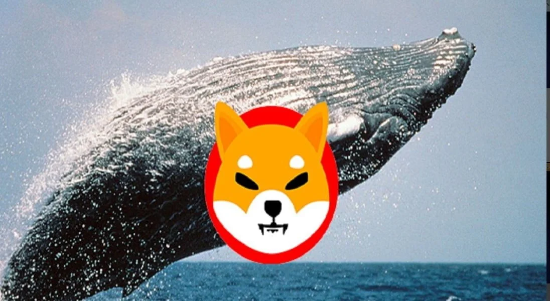 ETH Whale Adds 421 Billion SHIB Tokens Ahead of Big Announcement 