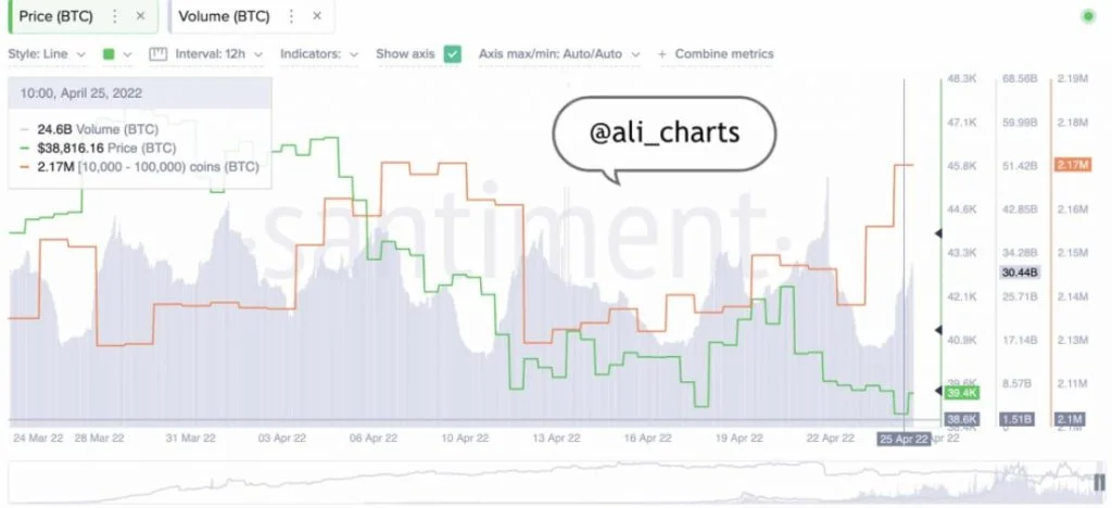 Bitcoin whales buy the dips in this correction, BTC moves above $40k