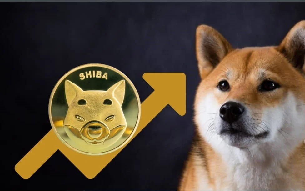 Shiba Inu (SHIB) Surges 21%, Here's Why It Will Continue To Rise