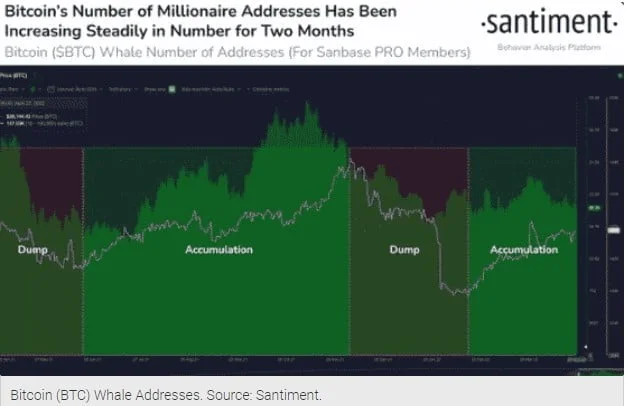 What Does It Mean For Prices If Bitcoin, Ethereum Have More Unique Holders?