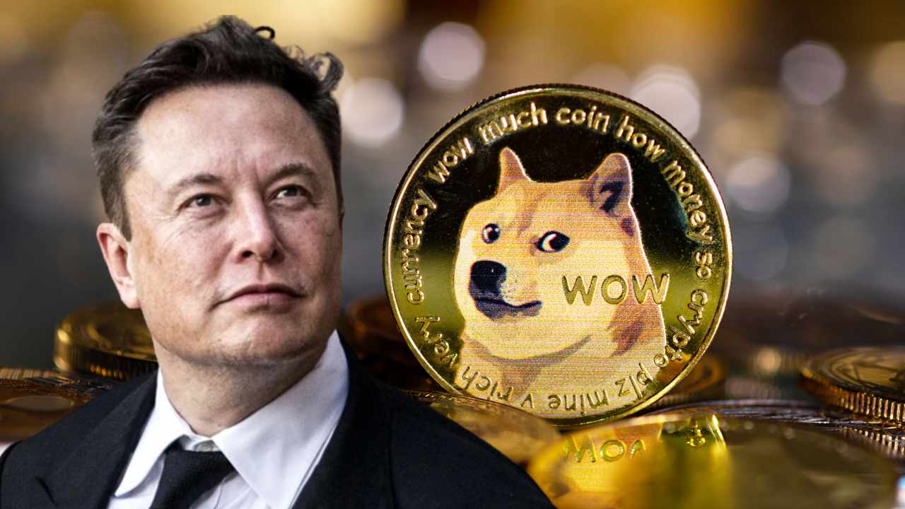 Elon Musk tweets Dogecoin co-founder, DOGE price jumps 5%