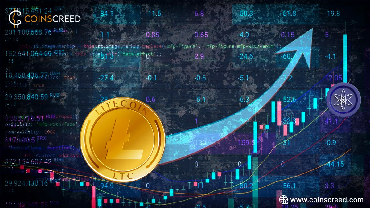 Altcoins which indicate bullish patterns (Altcoins analysis)