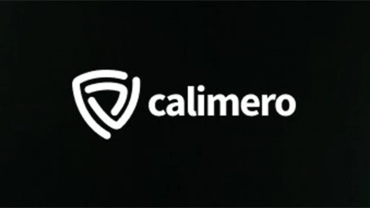 Calimero Network raises $8.5m for NEAR sharding