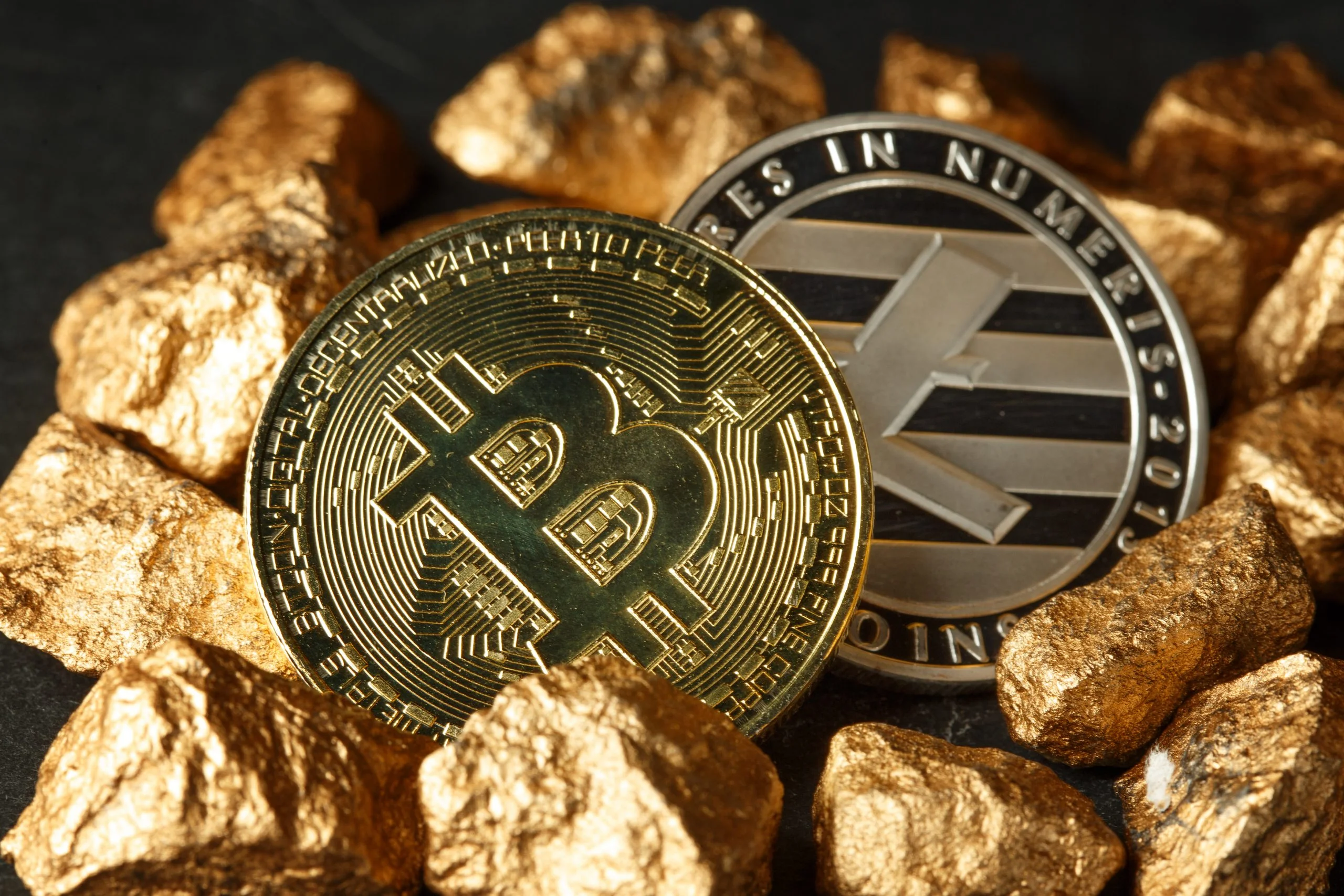 Cathie Woods claims Bitcoin and Ether are "like gold"