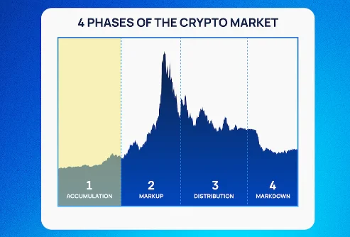 phases of the crypto market