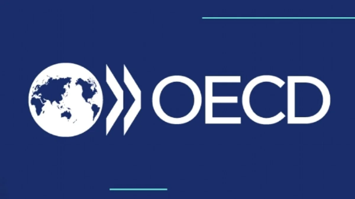 OECD Unveils Framework for Tax Reporting for Crypto Sector