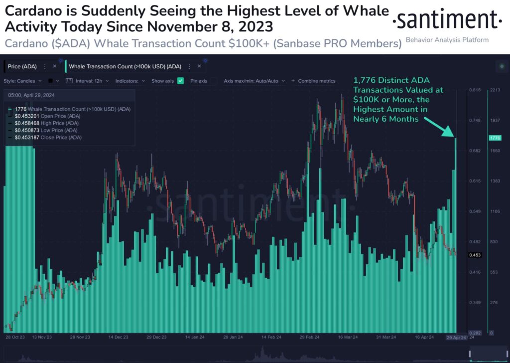 Cardano ADA whale transactions - Coinscreed Latest Bitcoin and Crypto Updates