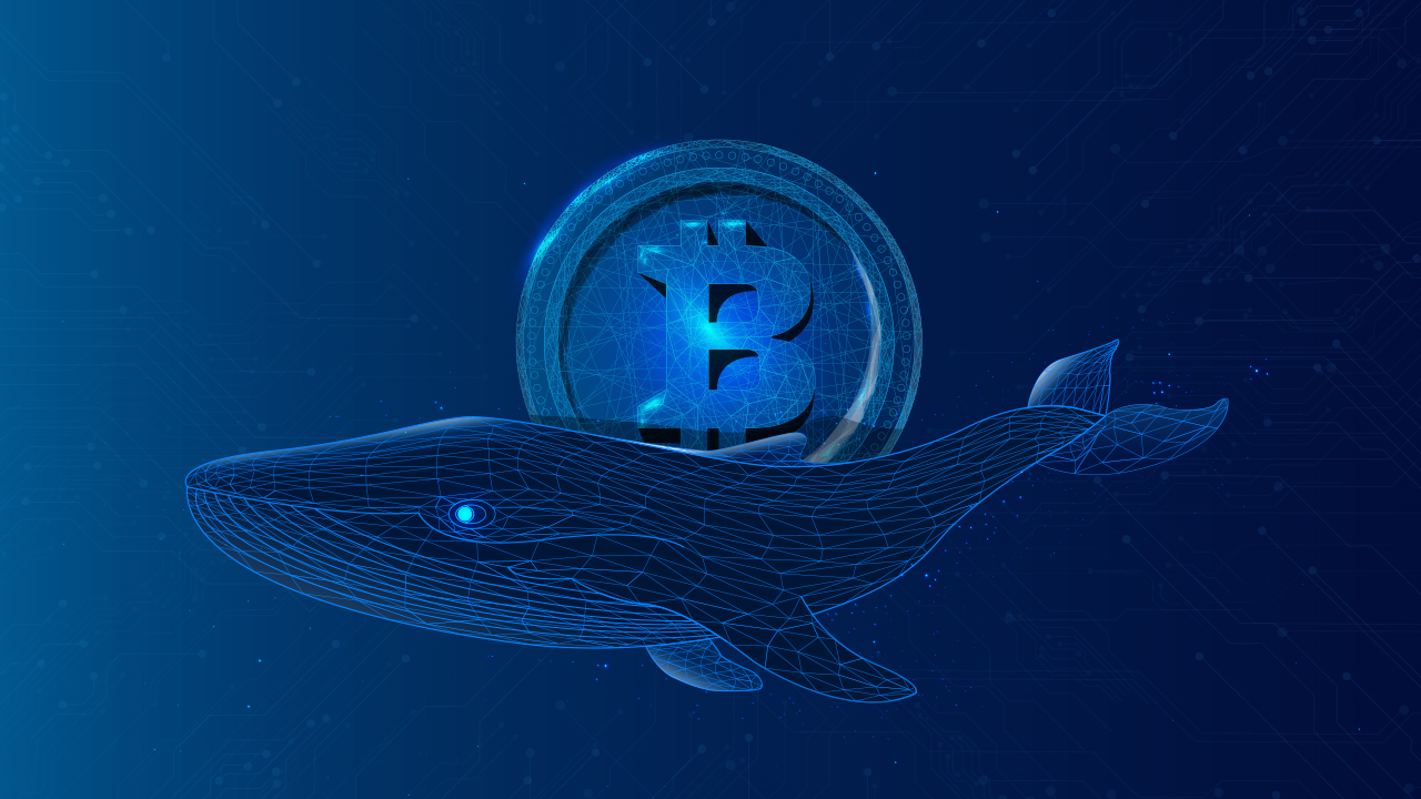 Whale Shifts 28M XRP Ahead of SEC Deadline