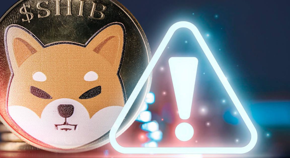 Lucie Warns Shiba Inu Community of New Scam