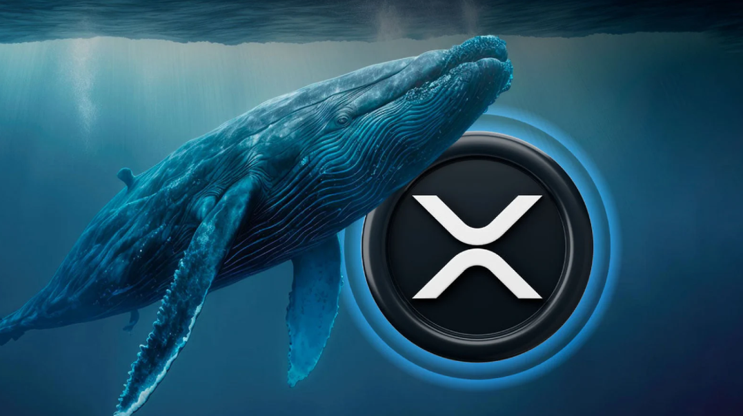 Whale Dumps 31M XRP Coins Amid Price Dip