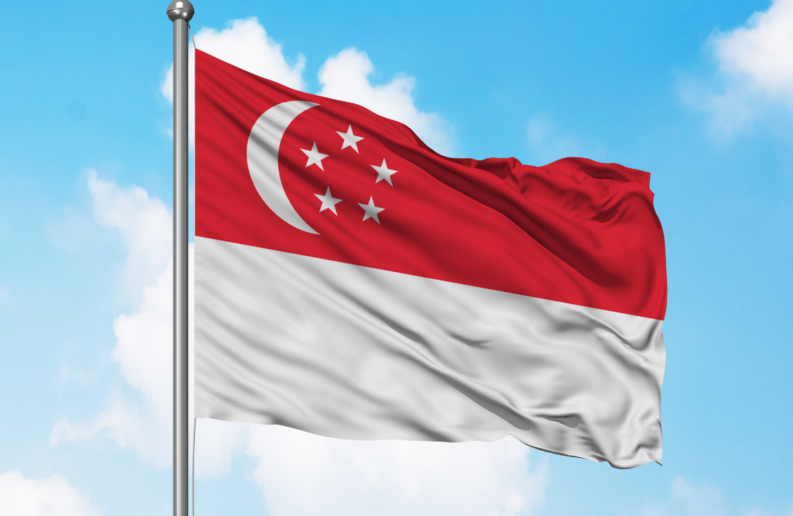 Singapore's MLNRA Marks Digital Payment Tokens as High-risk