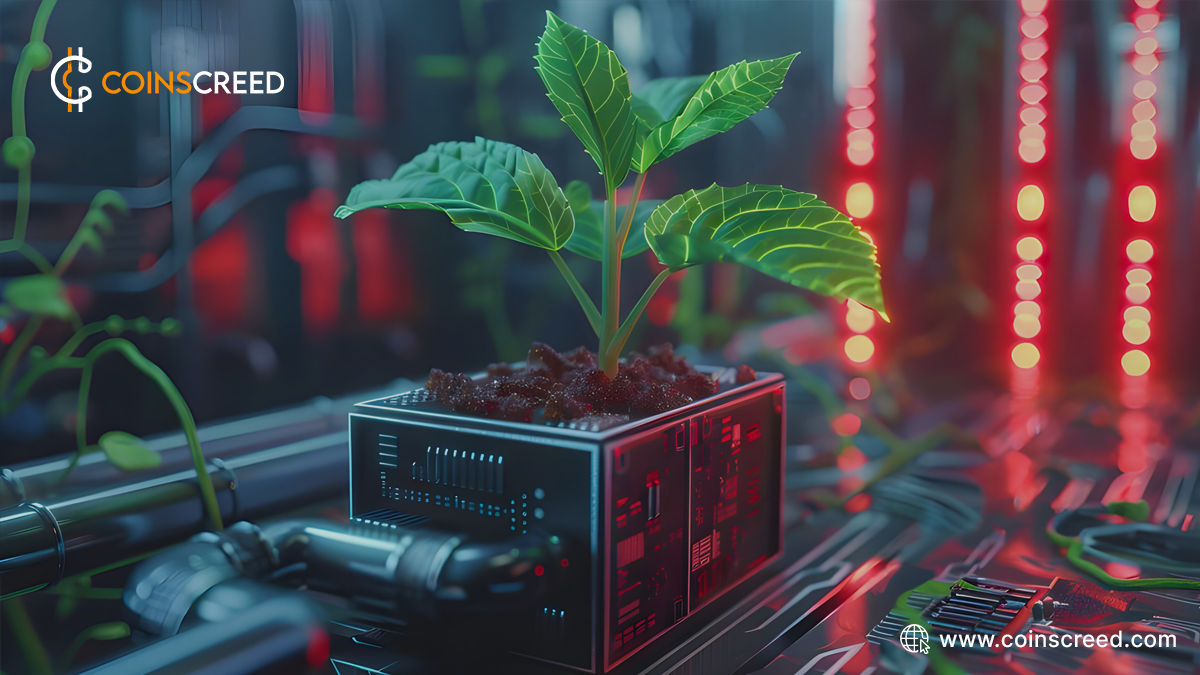 From Vaults to Strategies: Yield Farming in DeFi Asset Management