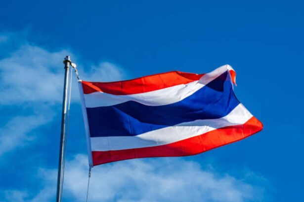 Thailand Reveals Date for $14b Digital Currency Giveaway