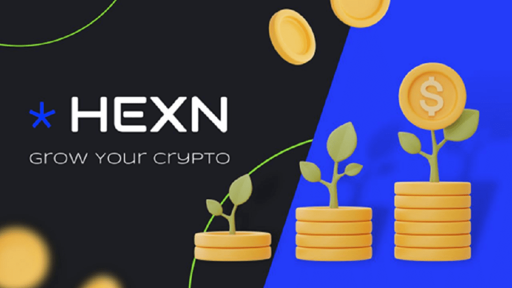 How to Maximize Your Earnings in the Hexn.io Airdrop