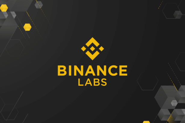 Binance Labs Invests in 4 Crypto Startups, BNB Price Up 7%