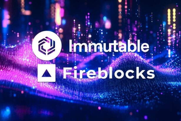 Immutable Partners with Fireblocks to Help Game Developers Manage Digital Assets