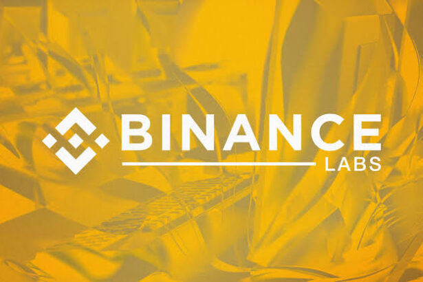 Binance Labs Invests in Solayer Network