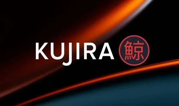 Kujira to Set up DAO to Handle Liquidity, Security Issues