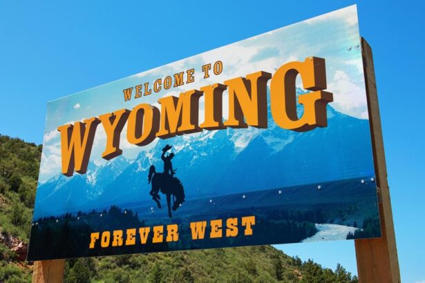 Wyoming May Launch Stablecoin in Q1 2025 - Governor