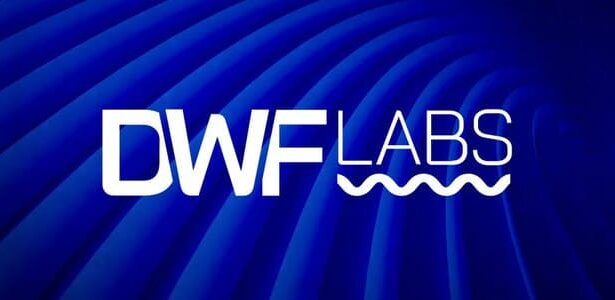 DWF Labs Reveals Plans for Synthetic Stablecoin Launch by Q1 2025