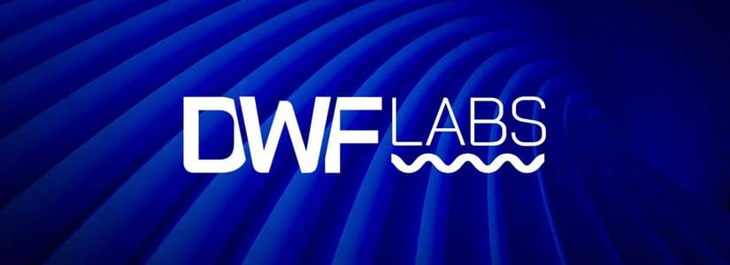 DWF Labs Reveals Plans for Synthetic Stablecoin Launch by Q1 2025