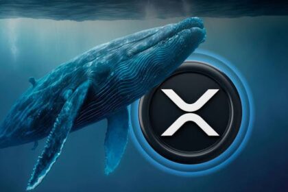 XRP Whales Move 430M Coins Amid Chris Larsen's XRP Dump