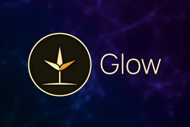 DePIN Glow Raises $30M from Framework Ventures, USV