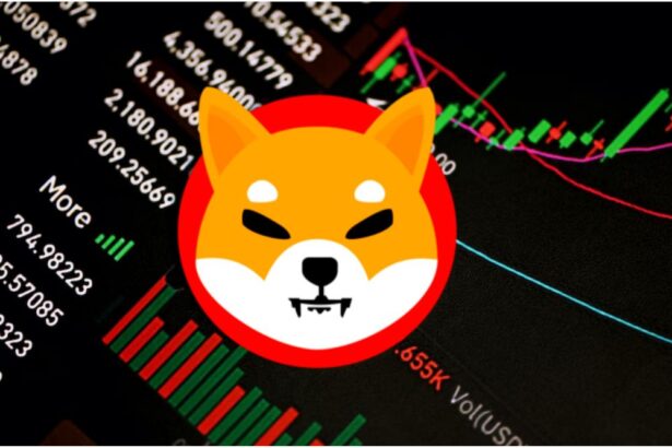 SHIB Exec Confirms Major Shift Ahead for Shiba Inu Coin Ecosystem