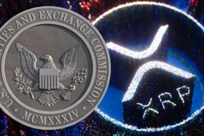 XRP Institutional Buying Rises 266% Amid Ripple vs. SEC Appeal