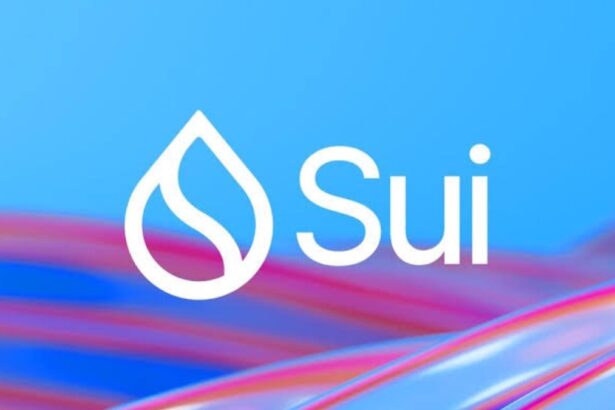 Sui Network to Launch Native USDC via NAVI Protocol