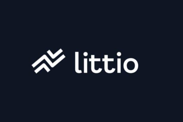 Littio Enables Access to U.S Treasury Bills