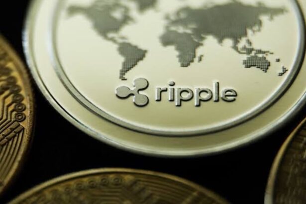 Ripple Backs $25m Round for Crypto Platform Bitnomial