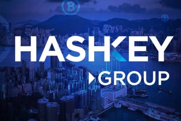 Hong Kong’s HashKey Postpones HSK Token Launch Due