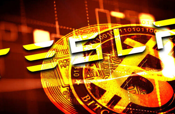 Tesla transfers $765M Bitcoin to unknown wallets