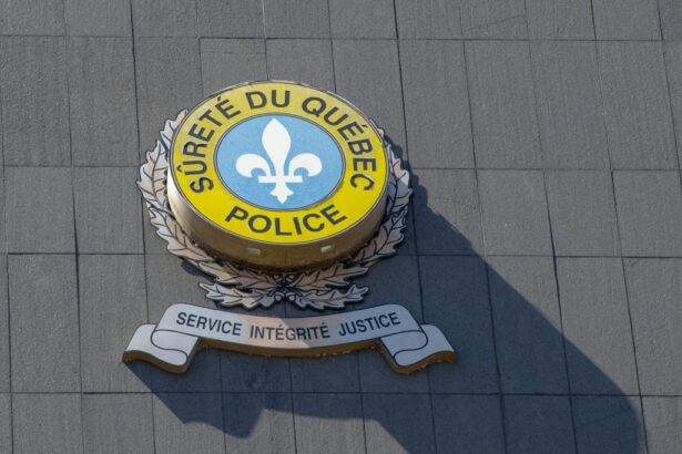 Abducted Crypto Influencer Found Dead in Montreal Park