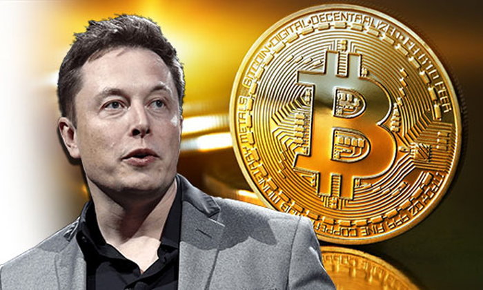 Elon Musk Discloses Crypto Holdings