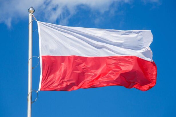 Polish Presidential Candidate Pledges Bitcoin Reserve If Elected