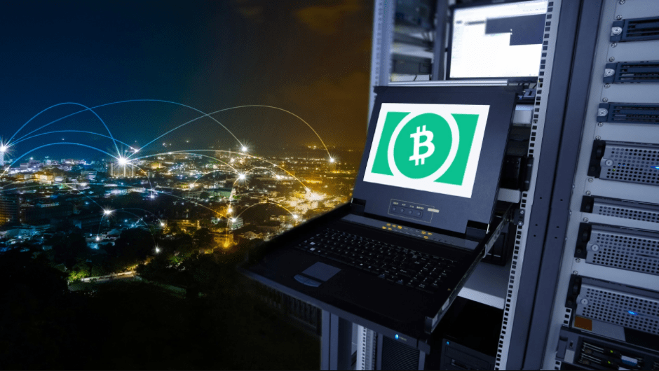 Bitcoin family from the Netherlands reveals how they secure their fortune in crypto