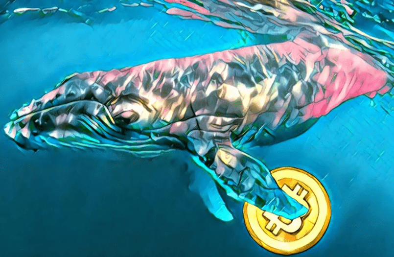 Anonymous whales reportedly transferred over 1.3 million bitcoins in large clumps