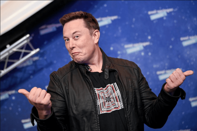 Elon Musk Lauds Dogecoin-Trading Hamster for Outscoring Warren Buffett