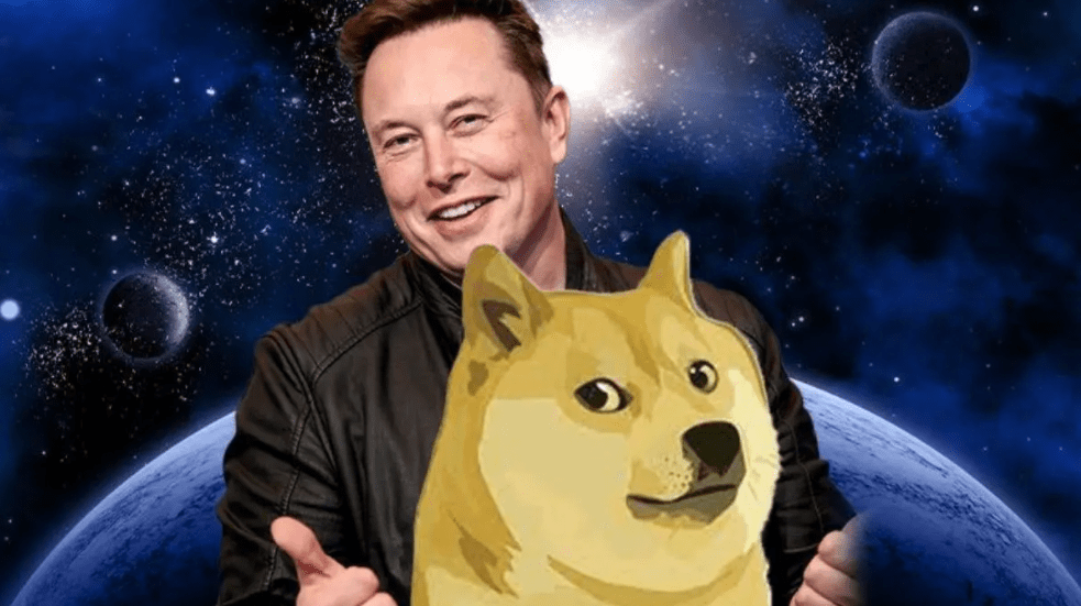 Elon Musk is the new fake chairman of Dogecoin 