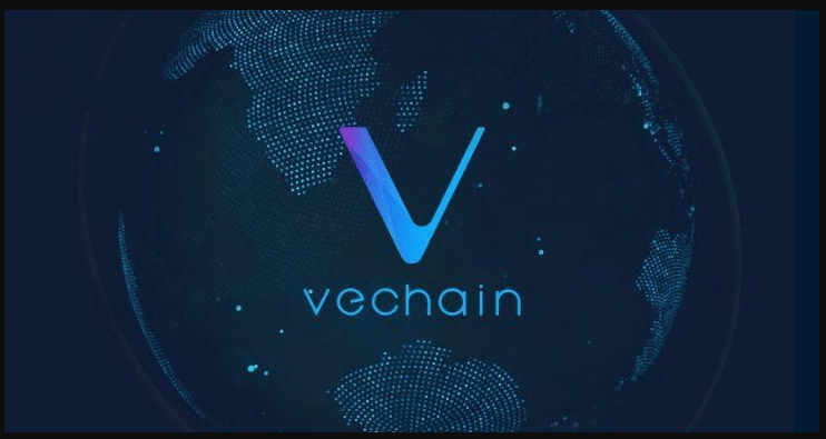 Is VeChain a smart long-term investment?